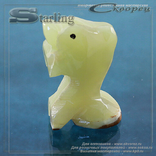 56120 - Дельфин малый