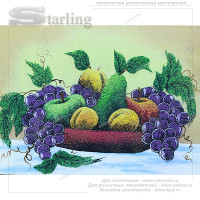 141575 - Натюрморт фрукты в чаше 4