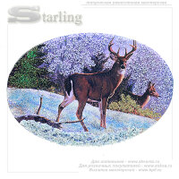 716007 - Панно открытка Марал