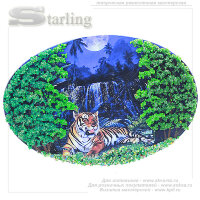 716010 - Панно открытка Амурский тигр