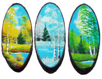 141605 - Спил дерева 40 см.